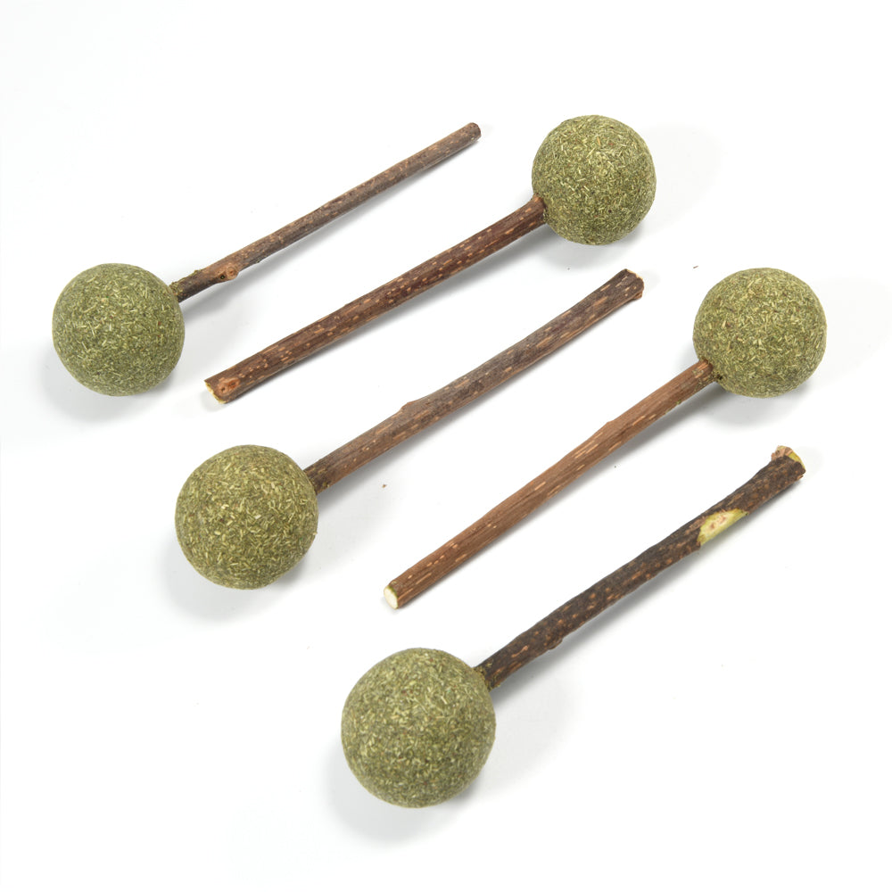 Natural Catnip Lollipop Cat Toy for Molar Teeth