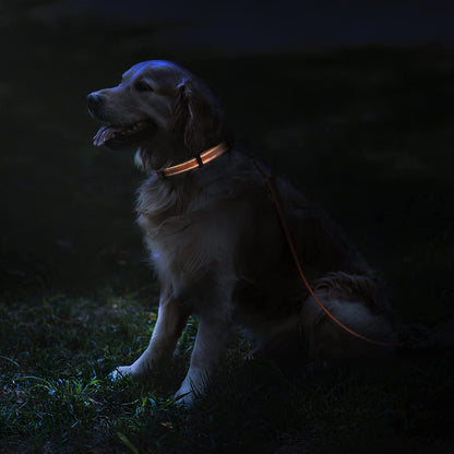 Reflective Dog Collar for a Small, Medium, Large Dog or Puppy with a Quick Release Buckle - Boy and Girl - Nylon Suitable for Swimming (Orange, 10-13 Inch)