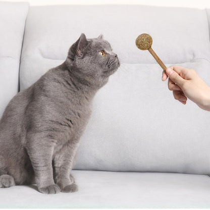Natural Catnip Lollipop Cat Toy for Molar Teeth