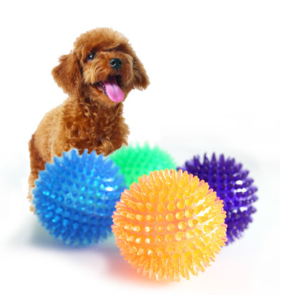 Transparent Elastic Dog Toothbrush Massage Ball