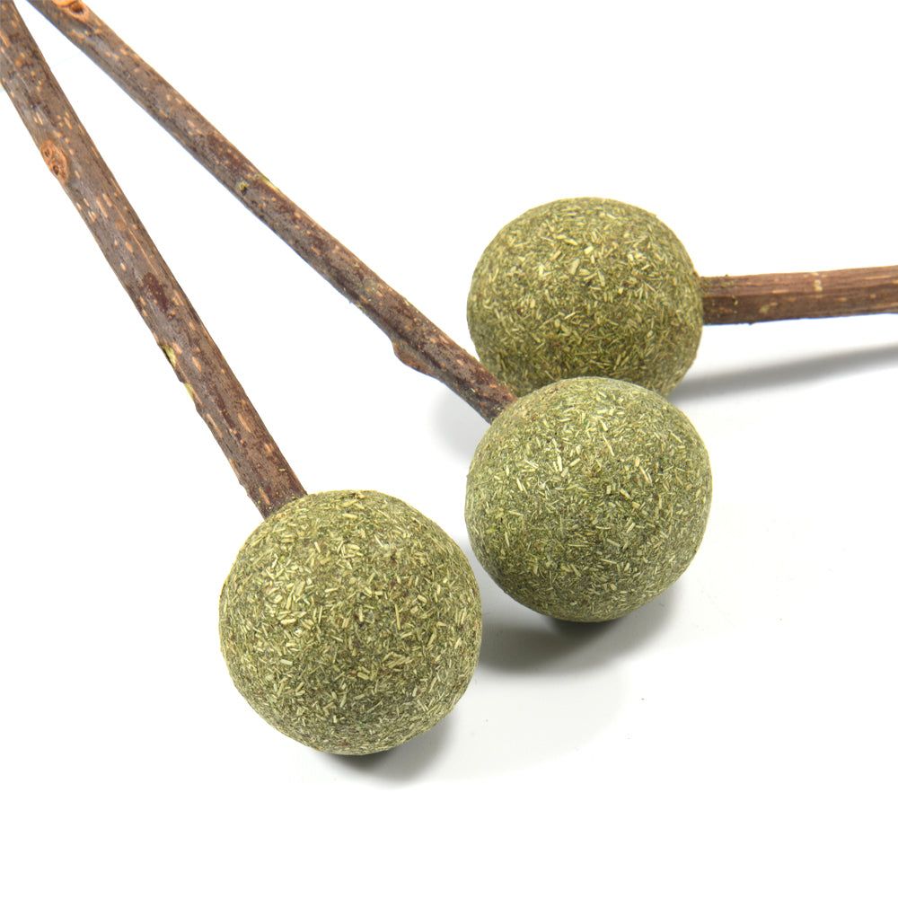 Natural Catnip Lollipop Cat Toy for Molar Teeth