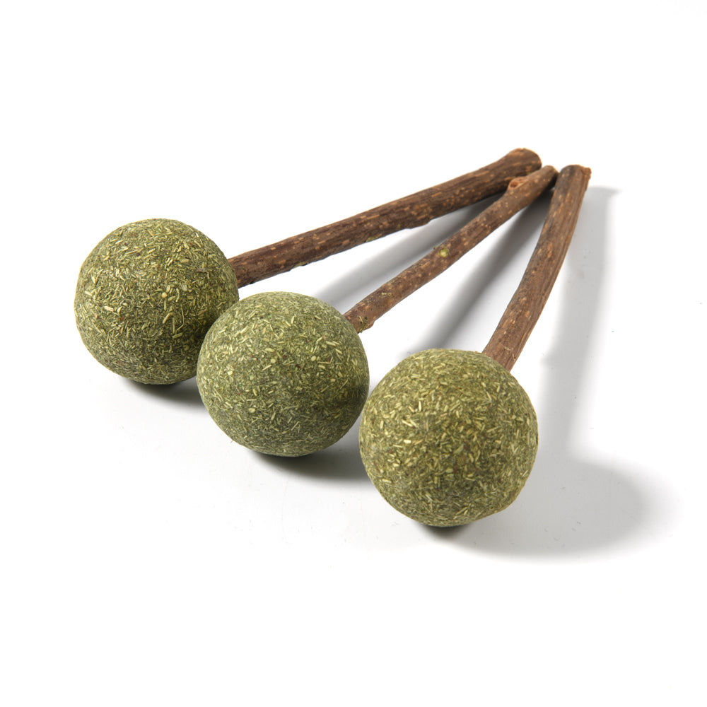 Natural Catnip Lollipop Cat Toy for Molar Teeth
