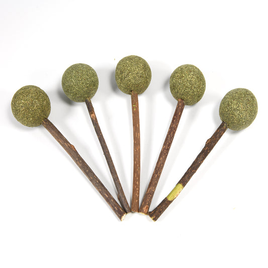 Natural Catnip Lollipop Cat Toy for Molar Teeth